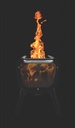 BioLite FirePit+